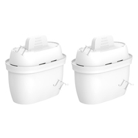 Cartouche de filtre à eau certifiée NSF42 au charbon actif pour la carafe à eau domestique b R-ita