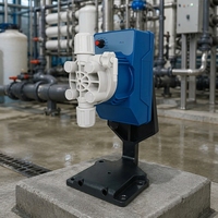 9L/H 2Bar Magnetventil-Membran-Dosierpumpe PVDF PTFE IP65 Manuelle Dosierung für Poolwasseraufbereitung OEM
