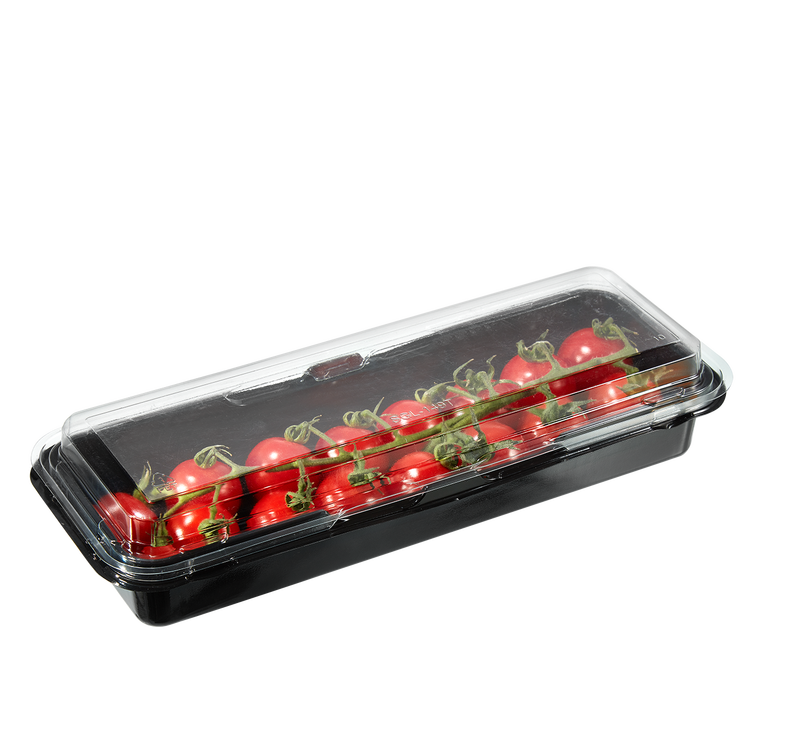 Disposable Black Rectangular Packaging Box Supermarket