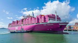 FCL 20FT 40HC全集装箱货运代理物流服务中国宁波上海至大米埃塔港埃及货运代理 - Product Image 4