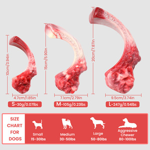 Jouet à mâcher pour chien neutre, saveur bœuf, en nylon, pour le nettoyage des dents, tailles S M L - Product Image 3