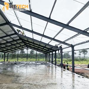 30,000 galline ovaiole casa edificio con completamente automatizzato gabbie di pollame in Cile - Product Image 5