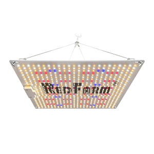 Redfarm meilleure lumière de livraison directe grandir <span class=keywords><strong>RQ</strong></span> 200W intérieur grandir led Veg Bloom spectre complet - Product Image 1