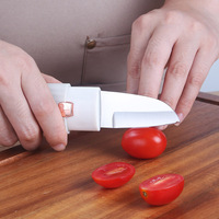 Dubbelzijdige Multifunctionele Keukenaccessoires Gadgets Manueel Groente-En Fruitschillenmes Met Beschermhoes