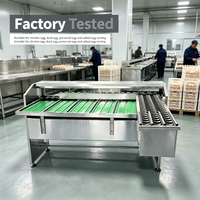 Machine de triage automatique des œufs par poids, type à rouleaux en acier inoxydable 304, pour l'élevage avicole et le traitement des œufs