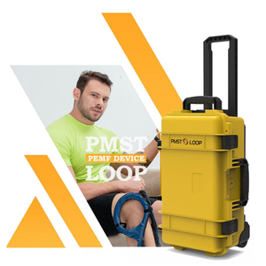 Appareil de thérapie PEMF multifonctionnel haut de gamme pour la guérison musculaire et la réparation osseuse chez l'homme et chez le cheval - Product Image 4