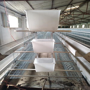 Cages à volailles neuves les plus vendues pour fermes avicoles au Pakistan – Cages à <span class=keywords><strong>poules</strong></span> <span class=keywords><strong>pondeuses</strong></span> en batterie en promotion - Product Image 3