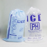 SUNHO sac de glace emballage froid sac de refroidissement jetable sacs en plastique de fête