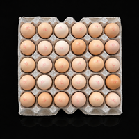 Boîte et plateau à œufs en plastique PET de qualité alimentaire, écologiques, antichoc, avec couvercle transparent, pour fermes et supermarchés, approvisionnement OEM, lot de 30