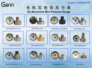 공장 직판 다이얼 25 MM NPT1/8 0 ~ 30mpa 육각 페인트 볼 및 PCP 용 미니 공기 나선형 튜브 압력 게이지 - Product Image 6