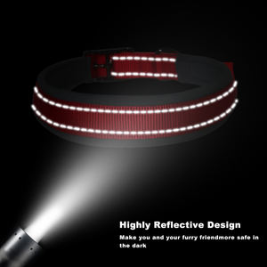 <span class=keywords><strong>Collar</strong></span> de perro de banda de nailon fuerte ancho y grueso para perros de gran tamaño con hebilla de Metal - Product Image 3