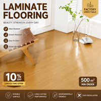 Plancher stratifié de bureau écologique AC4 8mm 10mm 12mm, vente chaude