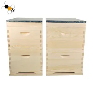 Two Layer 10 Frame Wooden Bee Box Australian Bee Hive Box