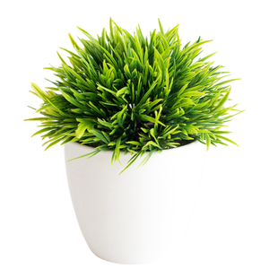 MSH I1264 Plantes vertes artificielles semi-sphériques Décoration d'intérieur Petites plantes en pot Ornements floraux PVC Bonsaï Durable 12cm - Product Image 1