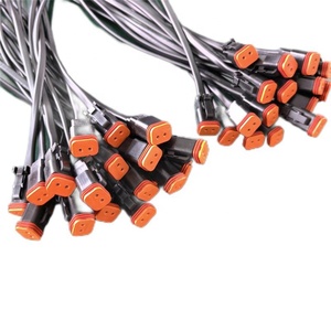 DT 2 Pin wanita Konektor otomotif mobil tahan air kawat Harness produsen - Product Image 3