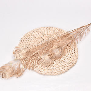 A-1225結婚式の人工ピーコックテールロードデコレーション5つの枝プラスチック人工ピーコックフェザー - Product Image 6