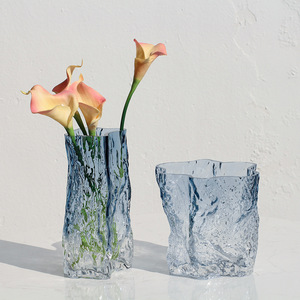 Jarrón de Vidrio Transparente con Degradado Intenso Estilo Nórdico, para Flores y Plantas Verdes, Decoración de Mesa, Jarrón Hidropónico Simple - Product Image 2