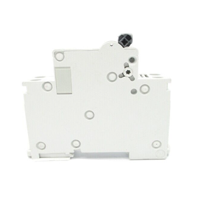 17572 10a 230v Nsnp New Original Ready Stock Automation Plc - Product Image 1