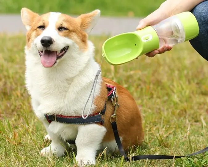 Dispenser portatile per bottiglie d'acqua per cuccioli di cane a prova di perdite per uso alimentare con alimentatore per animali domestici camminare all'aperto escursionismo cibo da viaggio