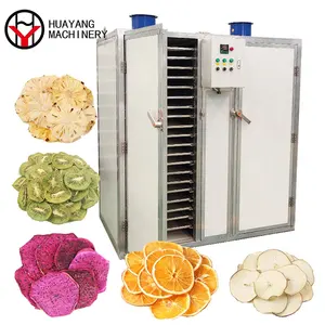 热风循环干燥室新鲜蔬菜干燥机水果海鲜鱼干燥机干燥箱电蒸汽油气