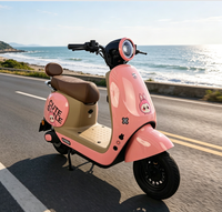 Vélo électrique à deux roues le plus populaire fabriqué en Chine, assistance au design OEM/ODM pour personnes handicapées, batterie amovible, longue autonomie