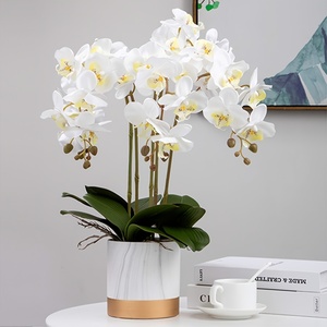 6 peças de Orquídeas Artificiais com 9 Cabeças, Apresentando um Caule de <span class=keywords><strong>Dendrobium</strong></span> Realista. com uma altura de 31 polegadas - Product Image 1