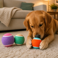 Balles de tennis élastiques pour chien, lot de 3, balles de tennis en caoutchouc à rebond élevé, non tissées, jouet interactif pour mâcher et apporter pour les chiens
