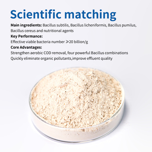 Agent Microbien pour le Traitement des Eaux Usées Municipales par Dégavage Aérobie, Élimination du DCO, BioPower300, Bactéries Aérobiques Améliorées, Grisâtre - Product Image 2