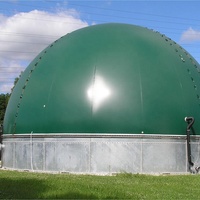 Petite usine de biogaz domestique Mini système de digesteur moteur de cuve à pression automatique bouse de vache ferme déchets alimentaires fumier de porc pour