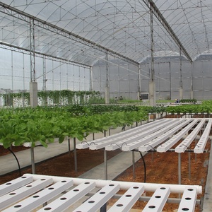 Sistema Idroponico Verticale NFT per Serre Agricole Interne ed Esterne per Coltivatori Commerciali di Lattuga - Product Image 3