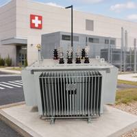 Transformateur immergé dans l'huile S22 haute efficacité S20 11 kV 2500 kVA pour utilisation en ferme solaire, fabriqué par un fabricant fiable, avec garantie de 24 mois