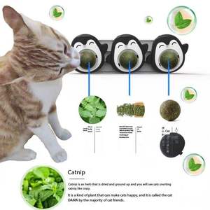 Gato moler los dientes Limpieza de dientes Spinning <span class=keywords><strong>Catnip</strong></span> Balls <span class=keywords><strong>catnip</strong></span> juguetes para gato atnip Sucker <span class=keywords><strong>Catnip</strong></span> Wall Ball - Product Image 4