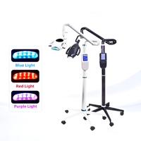 Lámpara de Blanqueamiento Dental de 60W / Luz, Entrega en 3-5 Días, Máquina de Blanqueamiento Dental, Lámpara Blanqueadora de Dientes, Dispositivos de Blanqueamiento Dental para Clínica