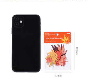 30 pcs/pack Material Pack Leaf Pick up Collection Series Hollow Out the Leaf Handbook DIY Material Decorative Bottoming - Product Image 6