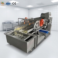 SUS304 Gemüseverarbeitungsanlage Gemüse-Blasenwaschmaschine Obstwaschlinie