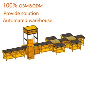 Transportband Scanner Dws Transportband Dws Magazijn Logistieke Systeem Dimensie Wegen