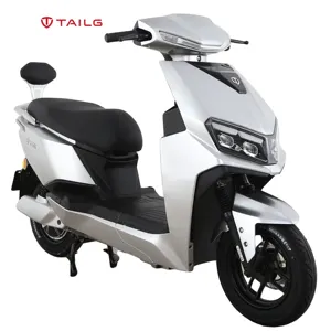 TAILG precio de fábrica 72V 38AH 200KM Citycoco batería de grafeno scooters automáticos motocicletas eléctricas de carreras