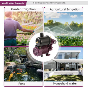 Pompe à eau portable ZHELI pour transfert d'eau de puits 220V 0.5-1HP, <span class=keywords><strong>surpresseur</strong></span> pour l'irrigation des ruisseaux agricoles, pompe auto-amorçante 1/2 CV - Product Image 5