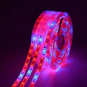 Bande lumineuse à LED étanche à spectre complet 12V LED de démarrage de semences élèvent la lumière pour serre - Product Image 1