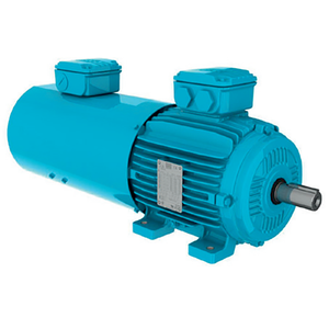 มอเตอร์ WEG W21 0.12-330kW สำหรับอุตสาหกรรม ป้องกันการระเบิด ประสิทธิภาพ IE4 โครงอะลูมิเนียม/เหล็ก  สามเฟส แรงดันต่ำ มอเตอร์ W21 กำลังสูง - Product Image 6