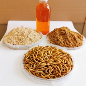 3cm乾燥ミールワーム、飼料グレードのミールワーム、中国産のアカエイの餌 - Product Image 4