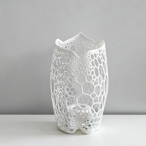 Service d'impression 3D professionnel - Production en petites séries, délai de livraison rapide, SLS Nylon PA12 pour pièces d'art personnalisées - Product Image 1