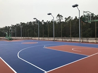 Nouvelles tuiles de terrain de sport à haute adaptabilité en Chine pour le basket-ball
