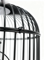 Cage à oiseaux ronde noire de qualité supérieure avec support et accessoires, cage à perroquet durable avec mangeoire et perchoir pour perruches, canaris