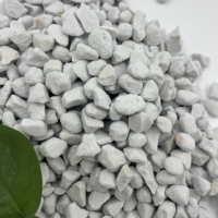Mélange d'amendement de sol en perlite expansée 1-3mm, 3-6mm, 5-10mm pour l'amélioration du drainage des substrats de tourbe et de coco