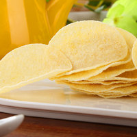 Halal groothandel hete verkoop exotische snacks aardappelchips 45g zak knapperige snack bulk
