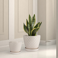 Pot de fleurs en céramique pour décoration intérieure et extérieure, petites, plantes succulentes, Pot pour plantes, en vrac