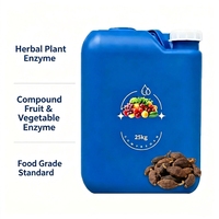 Enzyme liquide de Terminalia Chebula pour la santé digestive 25kg - Apaisant pour la gorge et astringent - Matière première en vrac pour compléments alimentaires