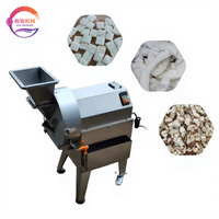 Commerciële automatische machine voor het snijden, in blokjes snijden en raspen van groenten, fruit, kokosnoten en champignons