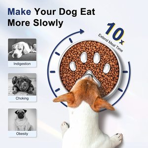 Manufacture Slow Feeder <strong>Dog</strong> 304 Metal Pet Food Water Stainless Steel Pet <strong>Bowls</strong> Metal Pet <strong>Bowls</strong> Metal Feeders - Product Image 6